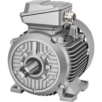 1MB1511-1BA2.-.... Cast-iron series 1MB15 und 1MB16 - Self-ventilated