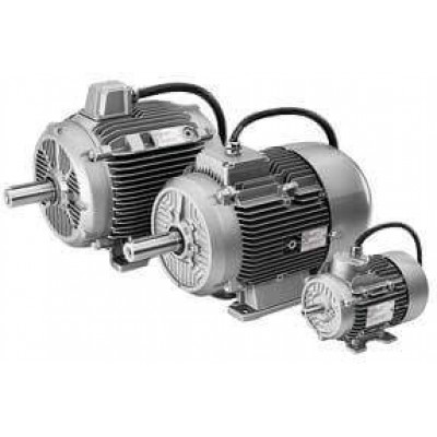 1PC1304-2BB0.-.... Cast-iron series 1PC1304 - Self-ventilated or forced-air cooled