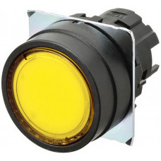 A22NZ-BNM-TYA A22N