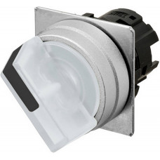 A22NZ-2MM-TWA A22NS/W