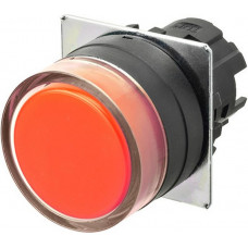 A22NZ-BGM-NRA A22N
