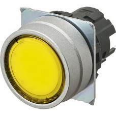A22NZ-MNM-TYA A22N