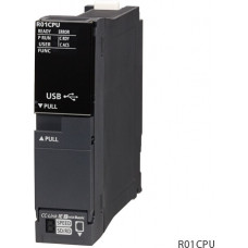 R01CPU Центральный процессор