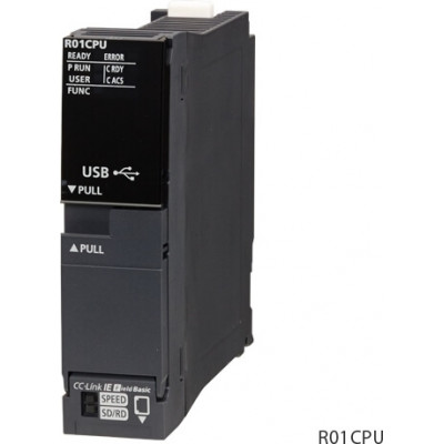 R01CPU Центральный процессор