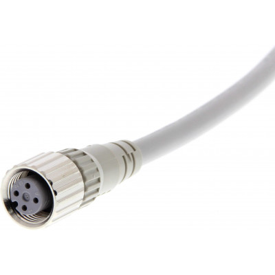 XS2F-D421-D80-F M12 Connectors & Cordsets